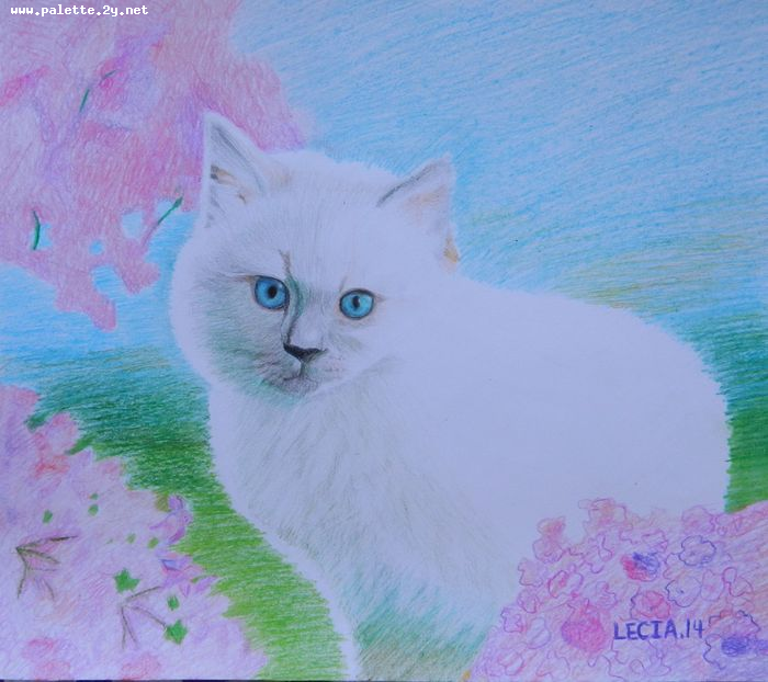 Art Studio PALETTE. Lecia Zhu Picture.  Coloured Pencil Animals Cats 