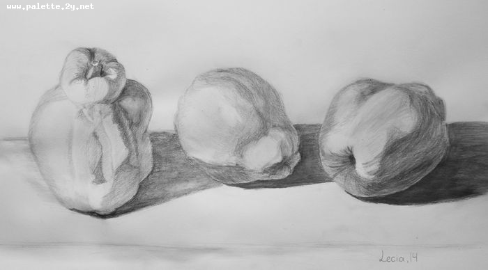 Art Studio PALETTE. Lecia Zhu Picture.  Pencil Still Life Fruits & Vegi 