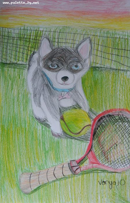 Art Studio PALETTE. Varya Pavlova Picture.  Coloured Pencil Animals Dogs 