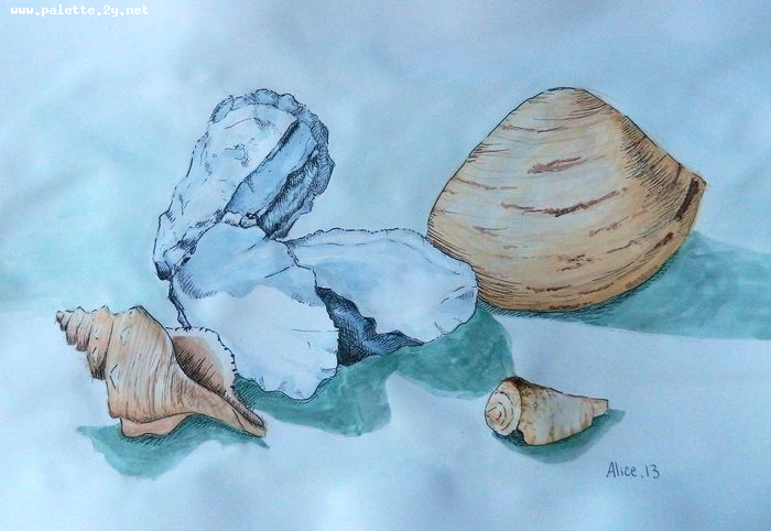 Art Studio PALETTE. Alice Qiu Picture.  Watercolour, Ink Still Life Shells 