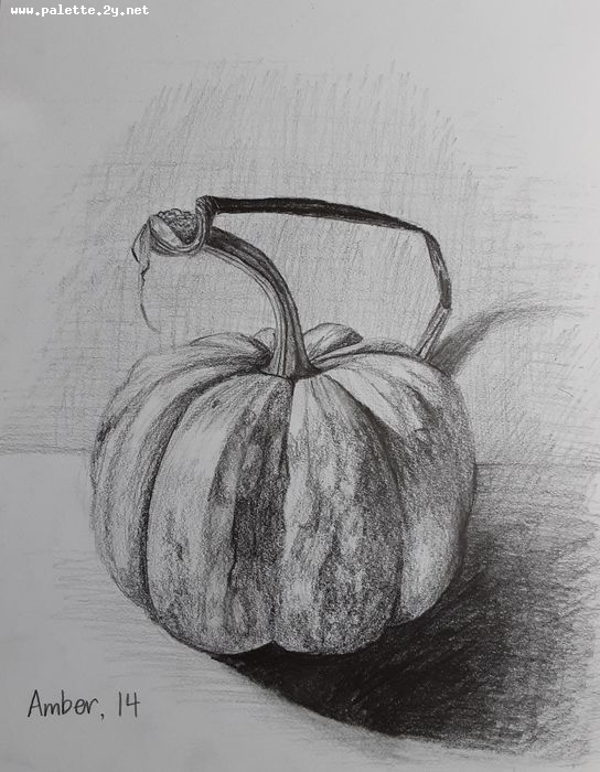 Art Studio PALETTE. Amber Wei Picture.  Pencil Still Life Fruits & Vegi 