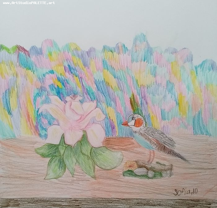 Art Studio PALETTE. Sofia Nikolaidi Picture.  Coloured Pencil Still Life Still Life 