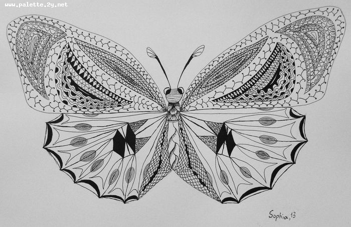 Art Studio PALETTE. Sophia Liu Picture.  Ink Animals Butterfly 