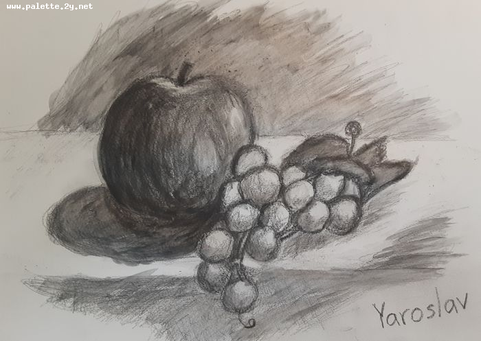 Art Studio PALETTE. Yaroslav Klishchuk Picture.  Pencil Still Life Fruits & Vegi 