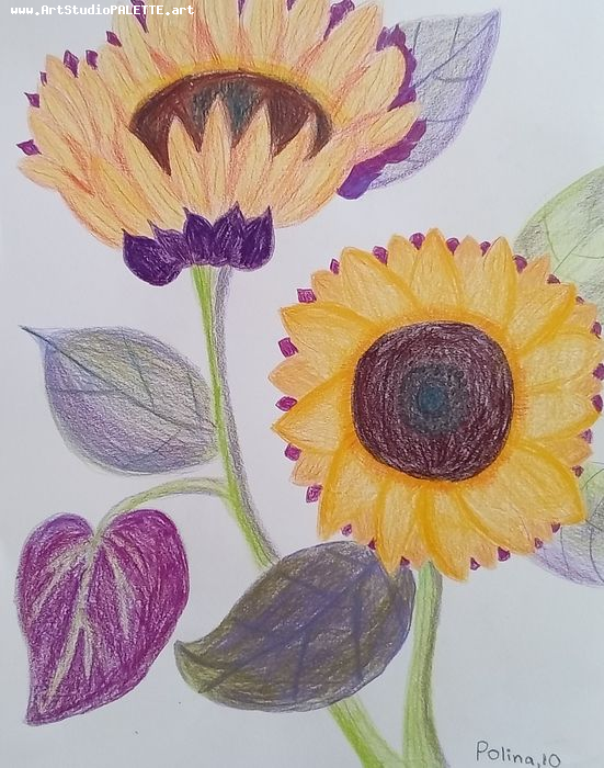 Art Studio PALETTE. Polina Karpushina Picture.  Coloured Pencil Plants Flowers 