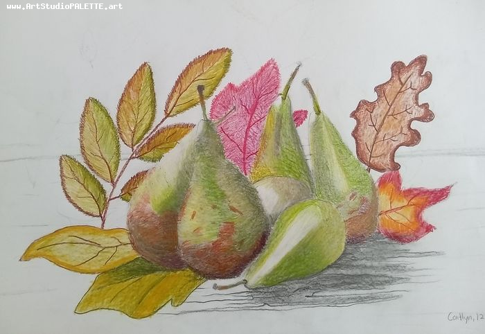Art Studio PALETTE. Caitlyn Yu Picture.  Coloured Pencil Still Life Fruits & Vegi 