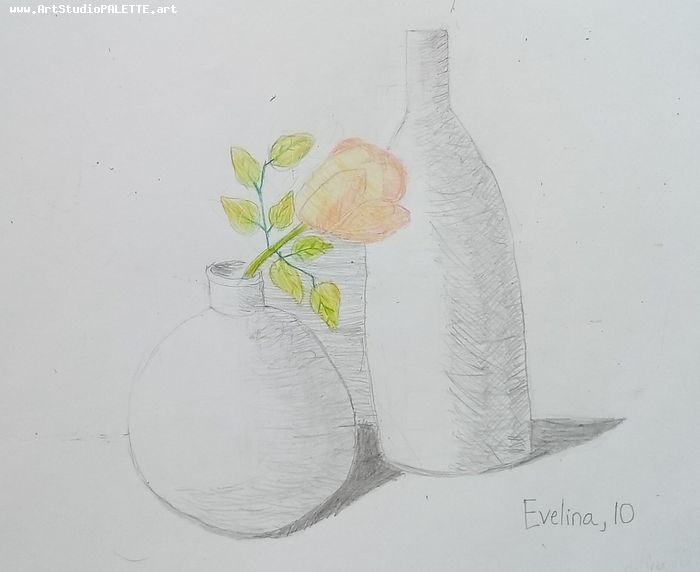 Art Studio PALETTE. Evelina Urbanczyk Picture.  Pencil Still Life Still Life 