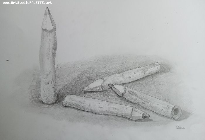 Art Studio PALETTE. O. C. Picture.  Pencil Still Life Still Life 