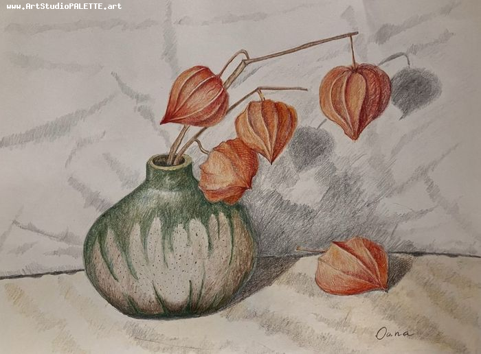 Art Studio PALETTE. Oana C. Picture.  Coloured Pencil Still Life Still Life 