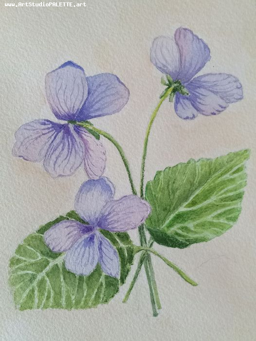 Art Studio PALETTE. Oana C. Picture.  Watercolour Plants Flowers 