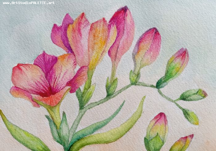 Art Studio PALETTE. Oana C. Picture.  Watercolour Plants Flowers 