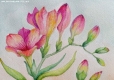 Art Studio PALETTE. Oana C. Portfolio