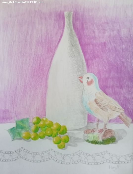 Art Studio PALETTE. May Xu Picture.  Coloured Pencil Still Life Still Life 