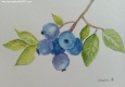 Art Studio PALETTE. Dhisha Senthil Portfolio