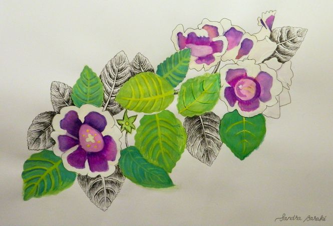Art Studio PALETTE. Sandra Baraque Picture.  Watercolour, Ink Plants Flowers 