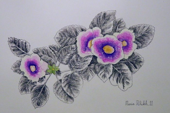 Art Studio PALETTE. Masha Pelekh Picture.  Watercolour, Ink Plants Flowers 