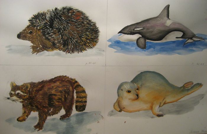 Art Studio PALETTE. Masha Pelekh Picture.  Watercolour Animals Mix 