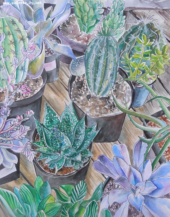 Art Studio PALETTE. Masha Pelekh Picture.  Watercolour Plants Cacti My Garden