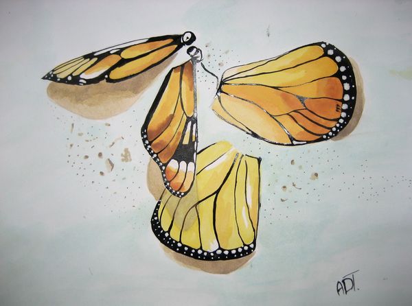 Art Studio PALETTE. Anika Tungusova Picture.  Acrylic Animals Butterfly 