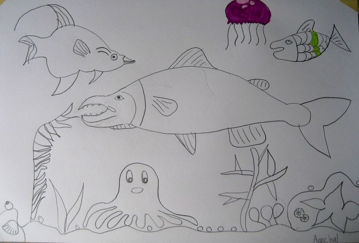 Art Studio PALETTE. Aanchal Singha Picture.  Pencil Animals Fish 
