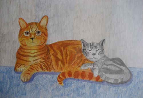 Art Studio PALETTE. Tony Cai Picture.  Coloured Pencil Animals Cats 