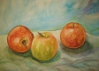 Art Studio PALETTE. Appels