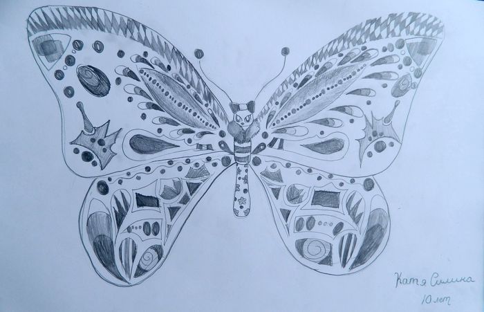 Art Studio PALETTE. Katya Silina Picture.   Animals Butterfly 