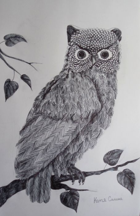 Art Studio PALETTE. Katya Silina Picture.  Ink Animals Birds 