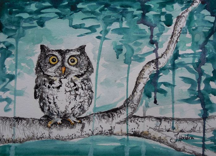 Art Studio PALETTE. Julia Handra Picture.  Watercolour, Ink Animals Birds Ночной Сторож