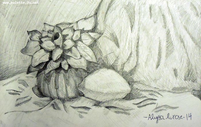 Art Studio PALETTE. Alyssa Lukose Picture.  Pencil Still Life Still Life 