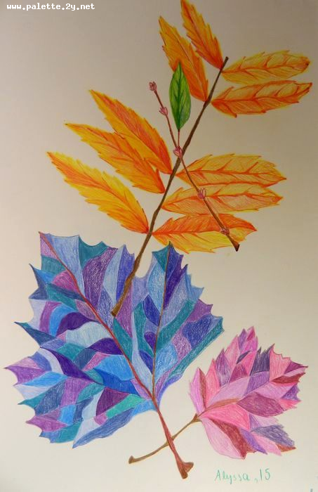 Art Studio PALETTE. Alyssa Lukose Picture.  Coloured Pencil Plants Leaves 