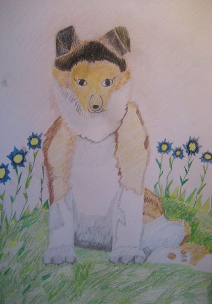 Art Studio PALETTE. Diana Pavel Picture.  Coloured Pencil Animals Dogs 