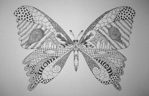 Art Studio PALETTE. Alisa Shapiro Picture. Fine Art Paper Ink Animals Butterfly 