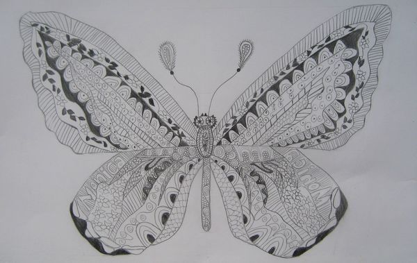 Art Studio PALETTE. Monika Feng Picture. Fine Art Paper Pencil Animals Butterfly 