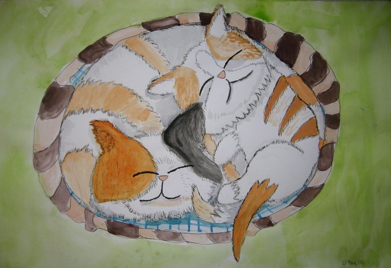 Art Studio PALETTE. Utae Kanauchi Picture.  Watercolour Animals Cats 