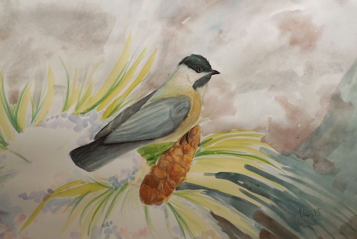 Art Studio PALETTE. Utae Kanauchi Picture.  Watercolour Animals Birds 