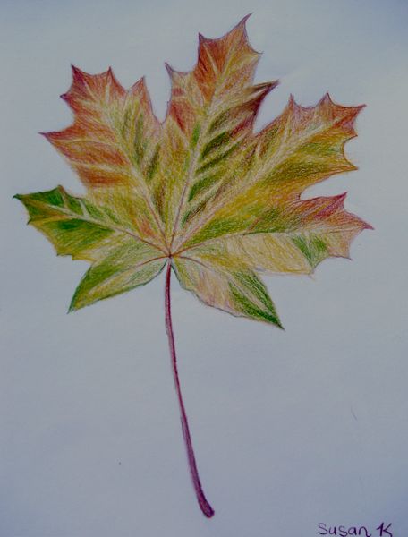 Art Studio PALETTE. Susan  Kuo Picture. Fine Art Paper Coloured Pencil Plants Leaves 