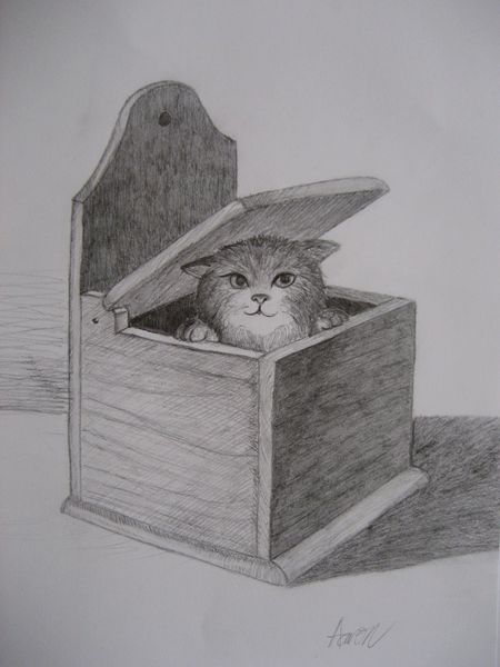 Art Studio PALETTE. Aaron Sham Picture. Fine Art Paper Pencil Animals Cats 