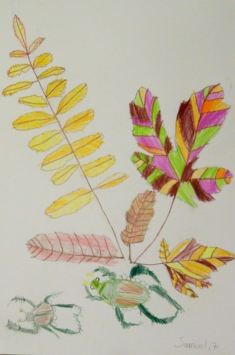 Art Studio PALETTE. Samuel Lukose Picture.  Coloured Pencil Plants Leaves 