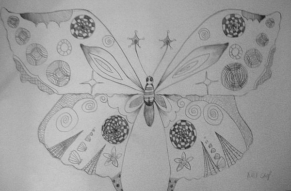 Art Studio PALETTE. Katia Skorokhod Picture.  Pencil Animals Butterfly 