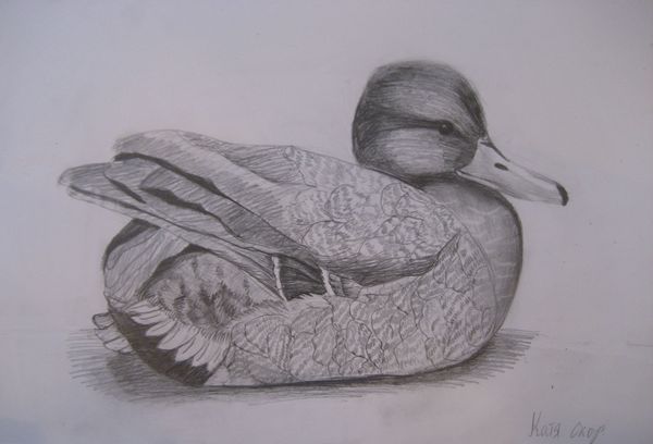 Art Studio PALETTE. Katia Skorokhod Picture. Fine Art Paper Pencil Animals Birds 