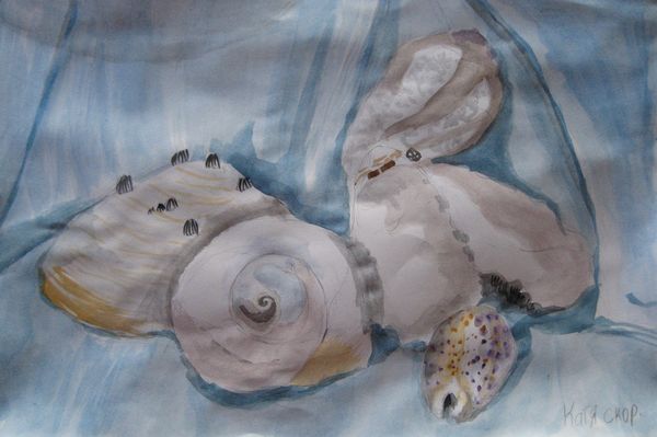 Art Studio PALETTE. Katia Skorokhod Picture.  Watercolour Still Life Shells 