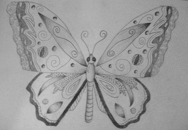 Art Studio PALETTE. Aleksandra Tsytsenko Picture. Fine Art Paper Pencil Animals Butterfly 