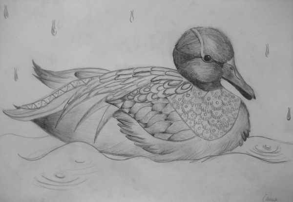 Art Studio PALETTE. Aleksandra Tsytsenko Picture. Fine Art Paper Pencil Animals Birds 