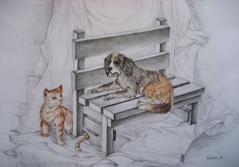 Art Studio PALETTE. Kitty Wu Picture.  Coloured Pencil Animals Mix 