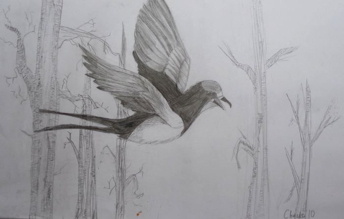 Art Studio PALETTE. Cheska O.Retita Picture.  Pencil Animals Birds 