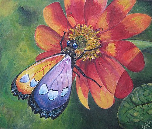 Art Studio PALETTE. Alena Safina Picture. Canvas Acrylic Animals Butterfly 