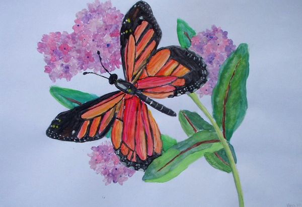 Art Studio PALETTE. Ana Milosovic Picture.   Animals Butterfly 