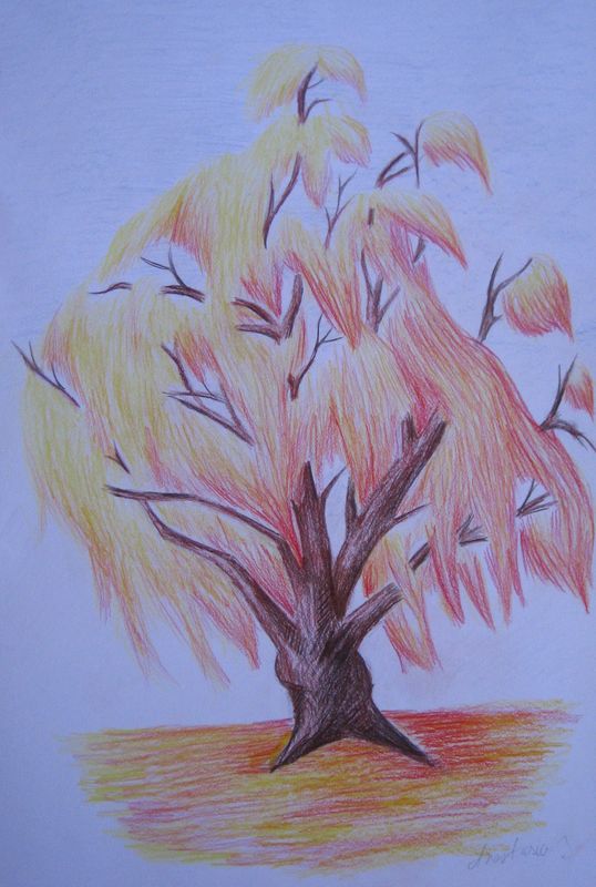 Art Studio PALETTE. Anastasiia Sergeyenko Picture.  Coloured Pencil Landscape Trees 