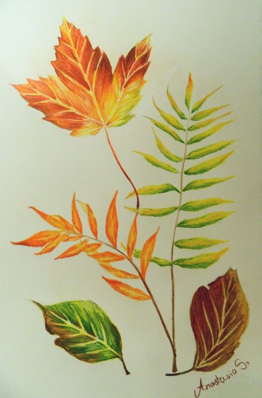 Art Studio PALETTE. Anastasiia Sergeyenko Picture.  Coloured Pencil Plants Leaves Осенние Листья